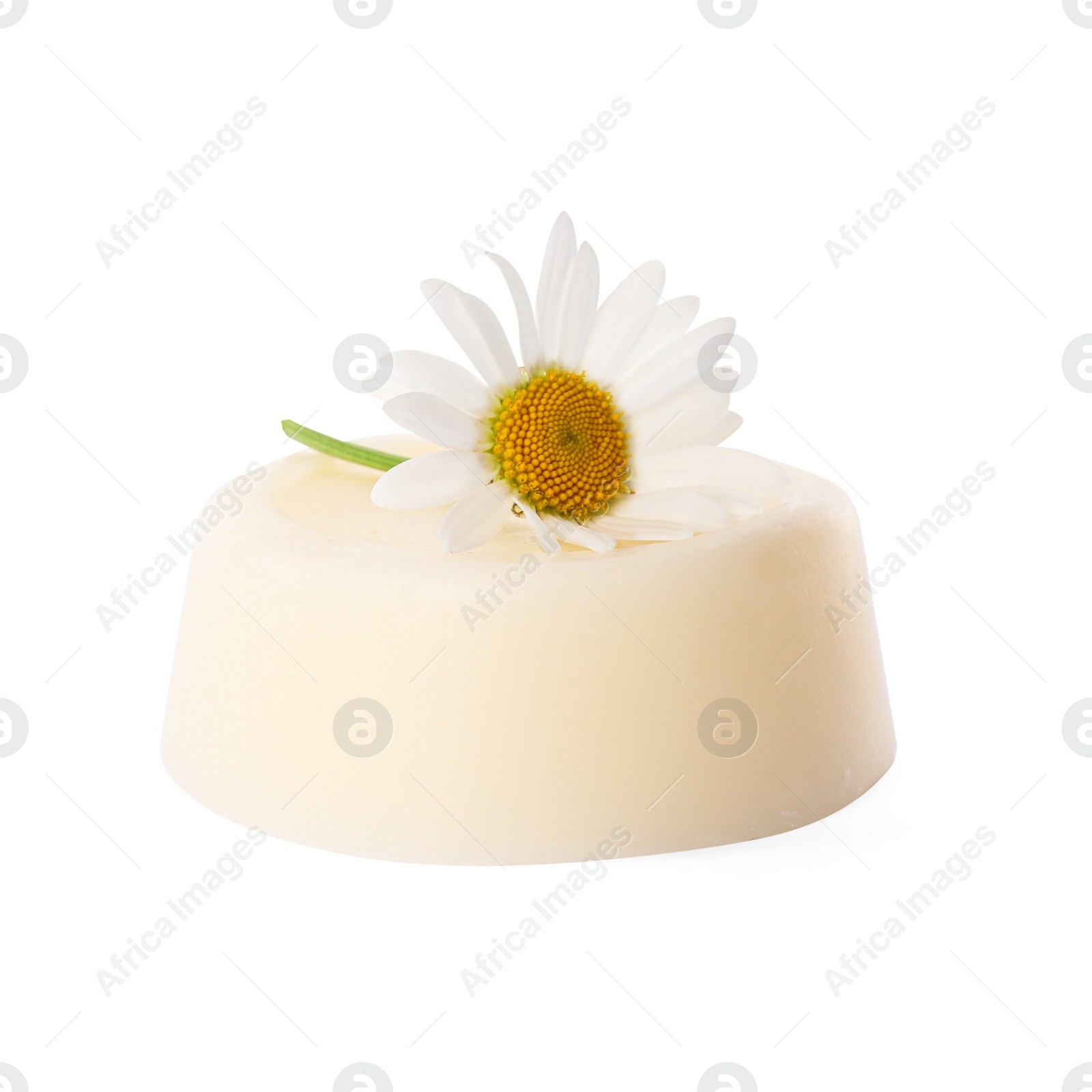 Photo of Solid shampoo bar and chamomile isolated on white. Hair care