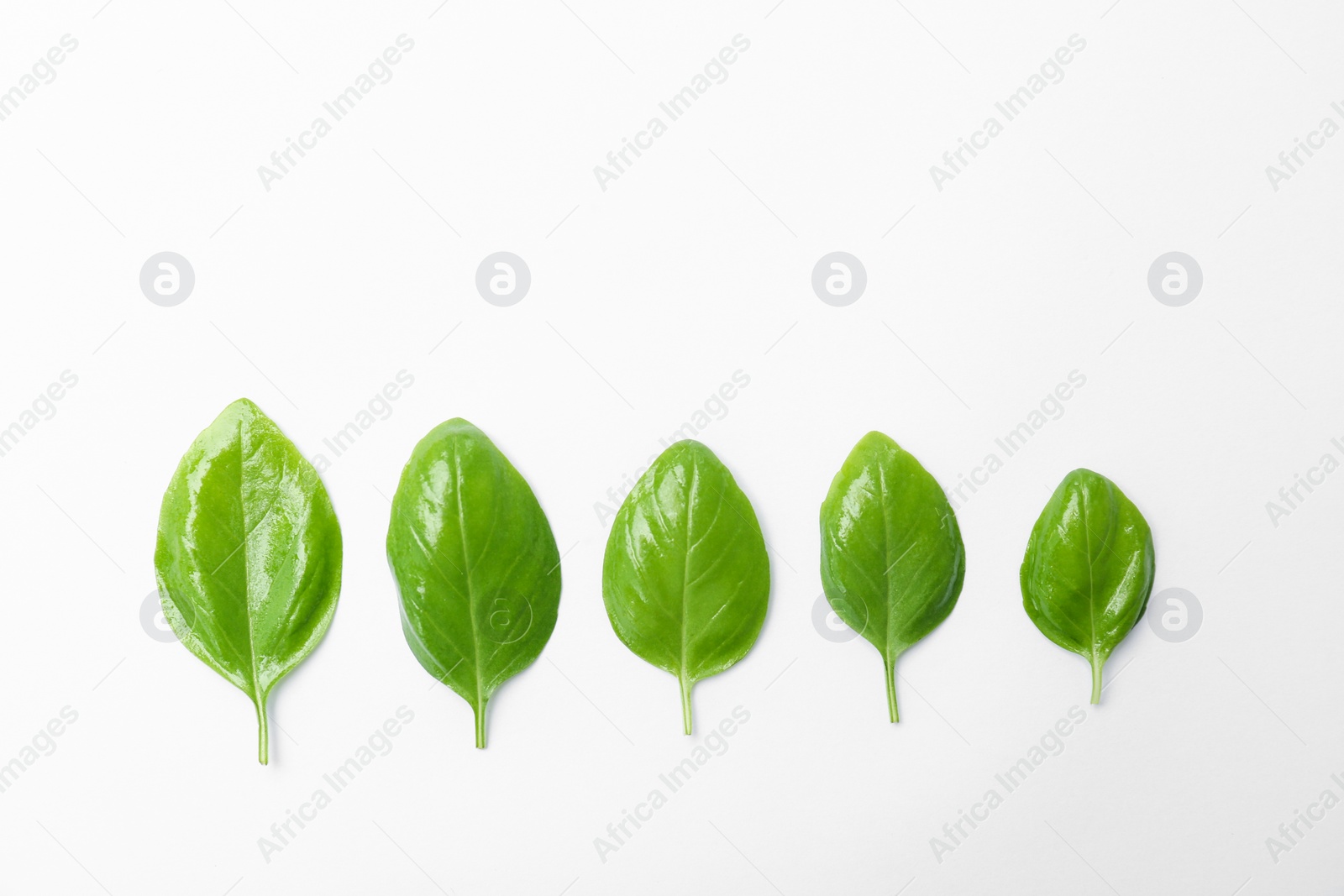 Photo of Fresh green basil leaves on white background, top view