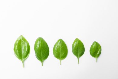 Photo of Fresh green basil leaves on white background, top view