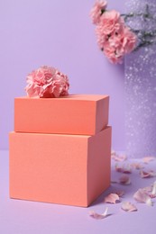 Photo of Geometric figures and pink carnation flowers on light violet background. Stylish presentation for product
