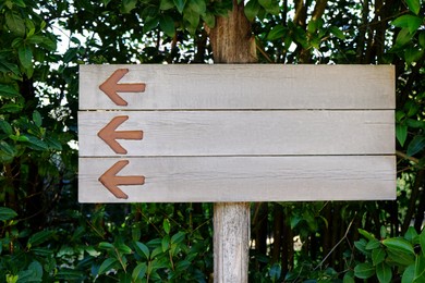 Photo of Blank wooden signpost on green tree outdoors