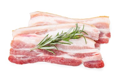 Pieces of raw pork belly and rosemary isolated on white