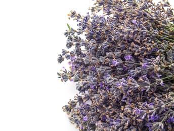 Beautiful blooming lavender flowers on white background