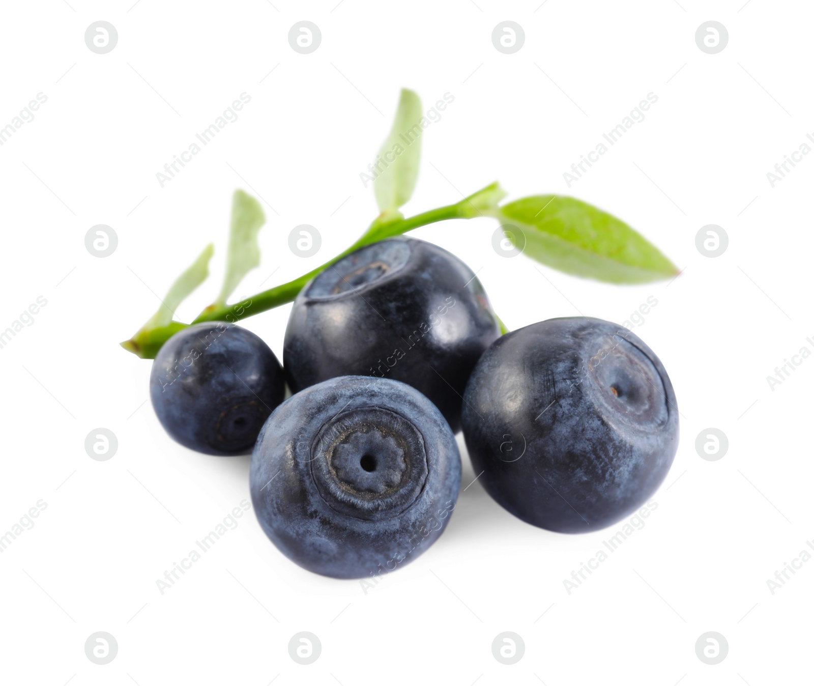 Photo of Delicious ripe bilberries and green leaves isolated on white