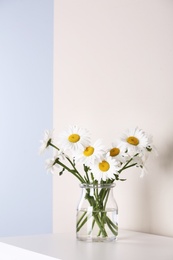 Photo of Beautiful tender chamomile flowers in vase on white wooden commode near color wall