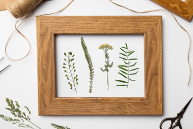 Flat lay composition with frame of wild dried meadow flowers on white background