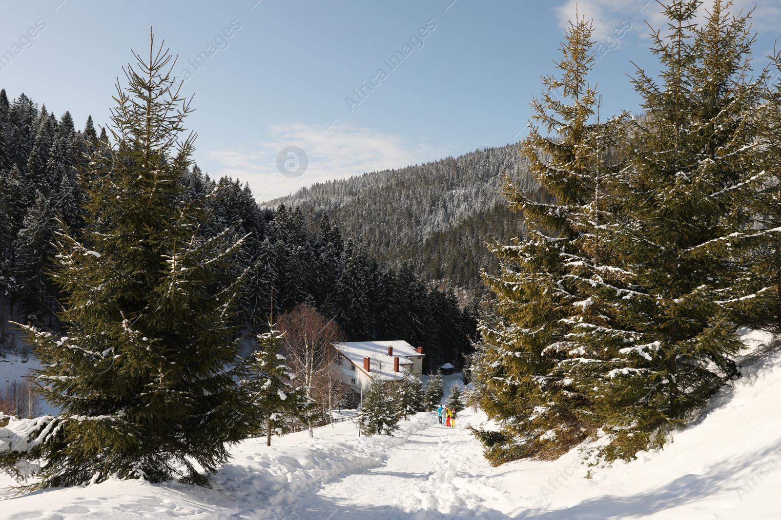 Photo of People walking near snowy forest on sunny day in winter