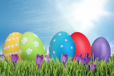 Image of Bright Easter eggs and spring flowers on green grass outdoors