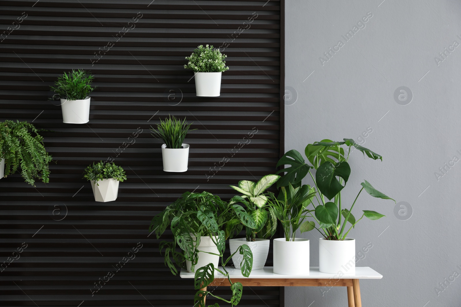 Photo of Plants on wooden table in room. Stylish interior design