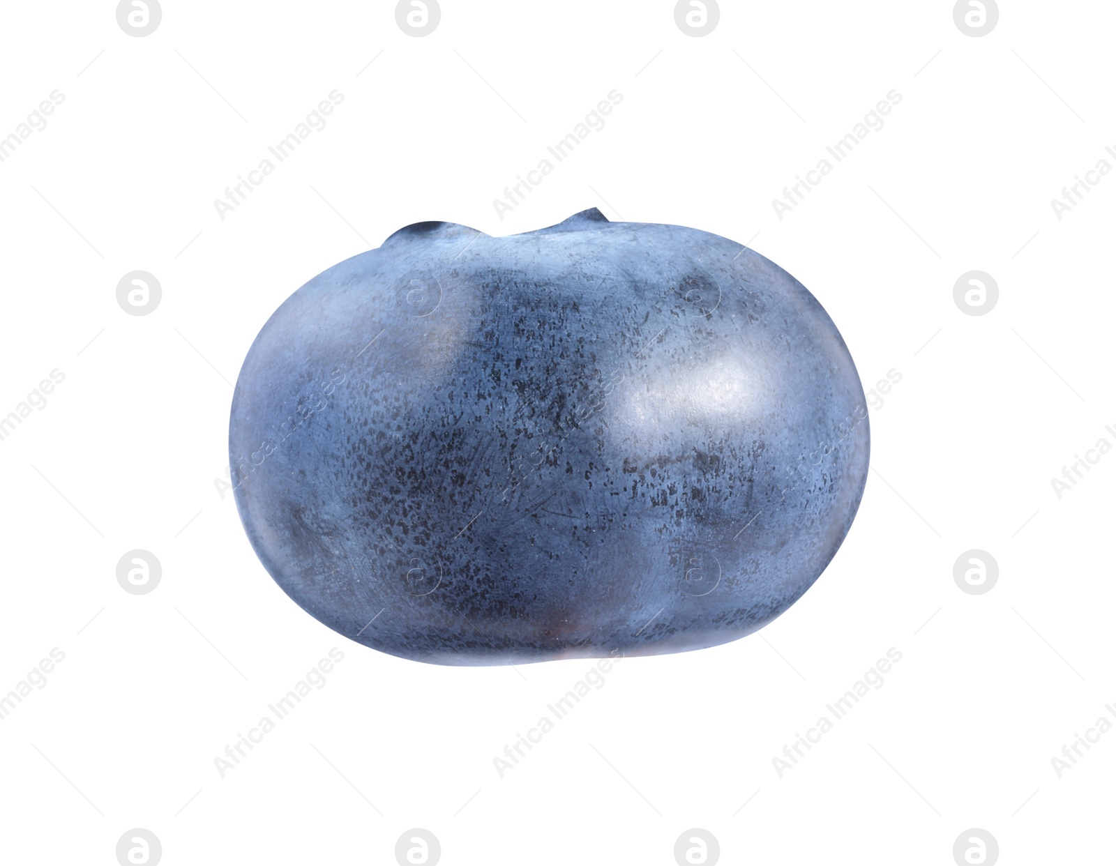 Photo of One fresh ripe blueberry isolated on white