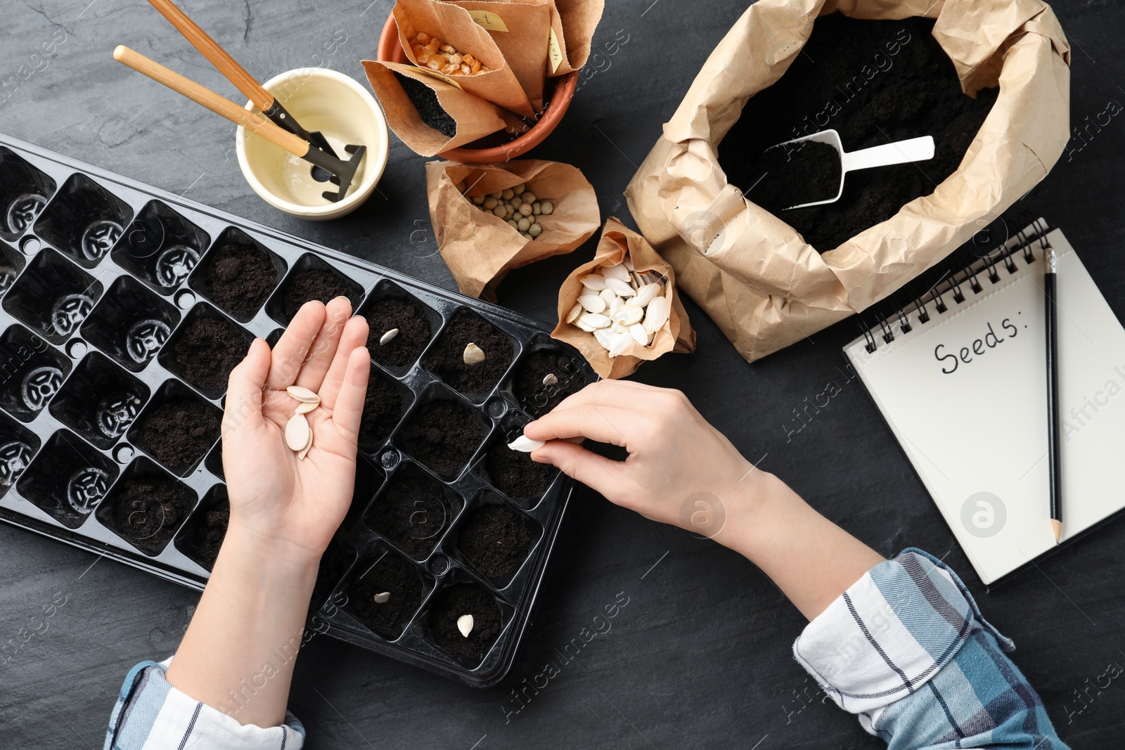 Photo of Woman planting vegetable seeds at table, closeup