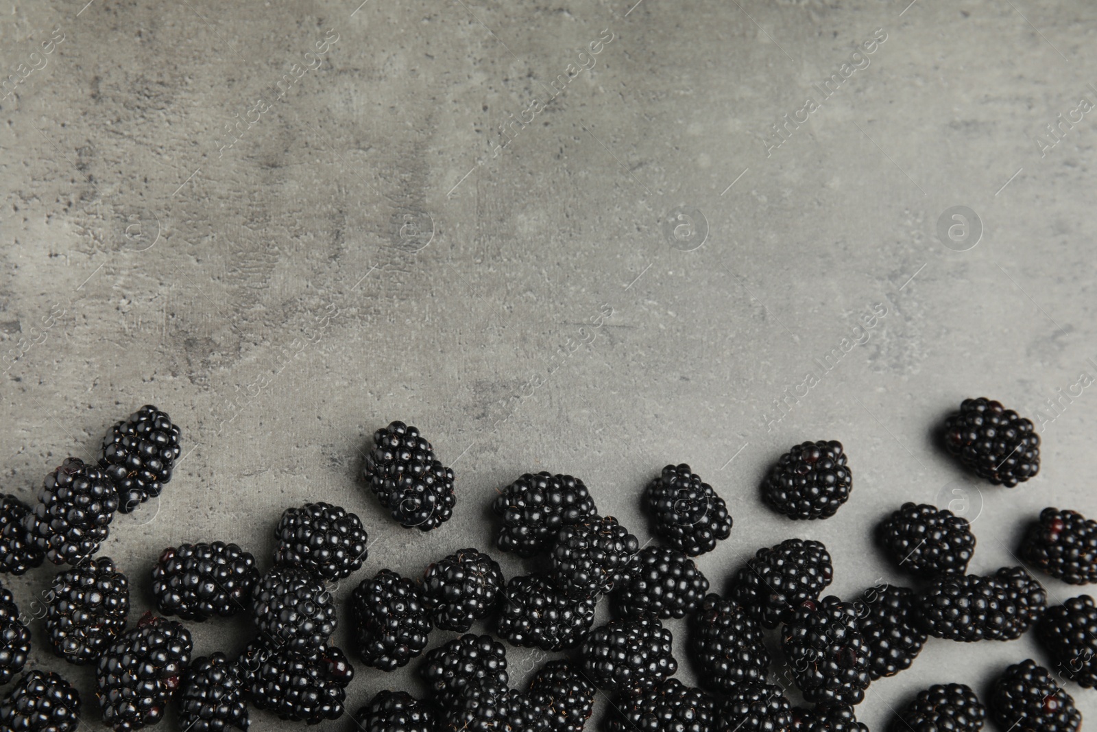 Photo of Tasty ripe blackberries on grey table, top view with space for text