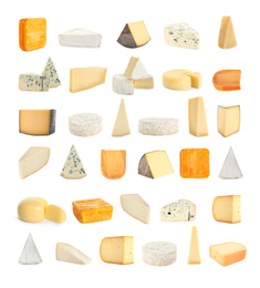 Set with different sorts of cheese on white background