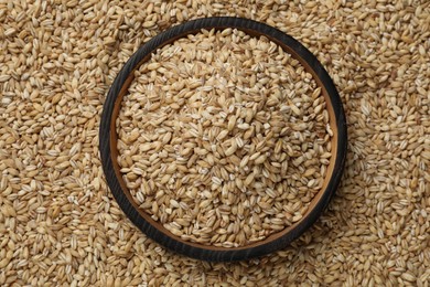 Photo of Pearl barley in bowl on dry grains, top view