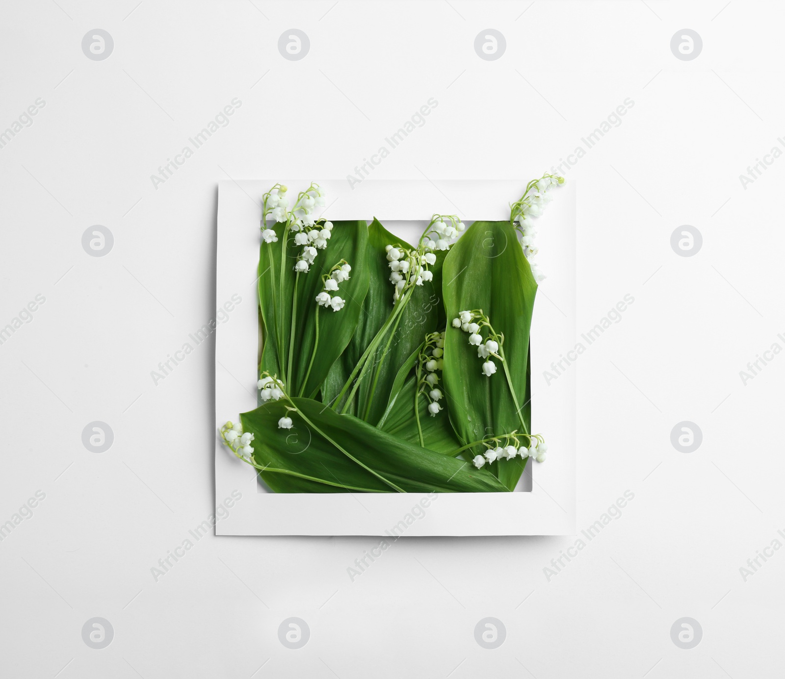 Photo of Paper frame with lily of the valley flowers on white background, top view