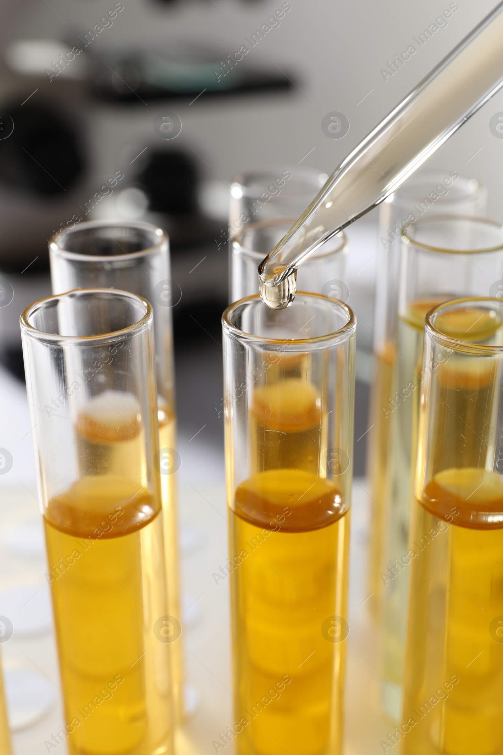 Photo of Dropping urine sample for analysis into tube in laboratory, closeup