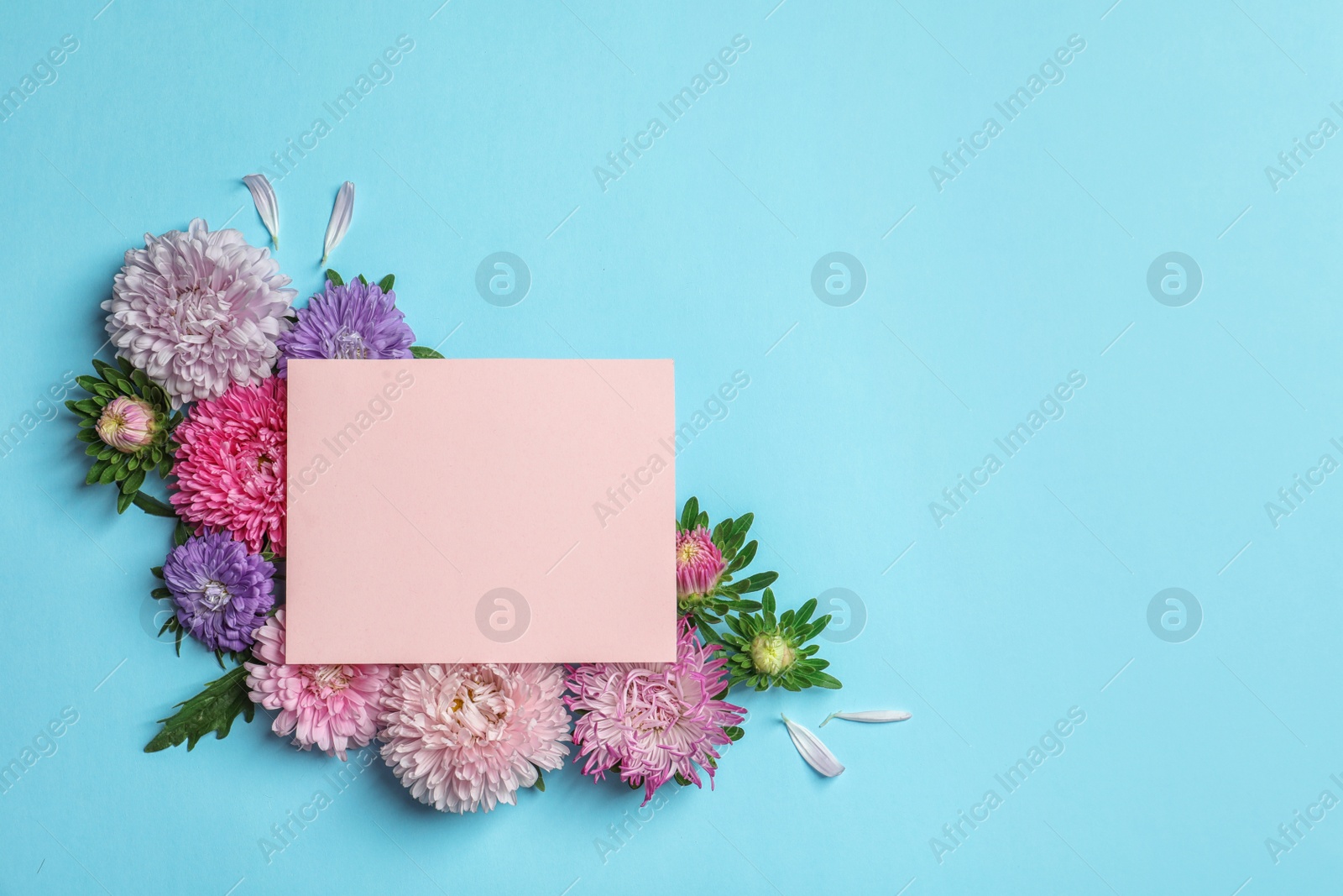 Photo of Beautiful aster flowers with sheet of paper on color background, top view. Space for text