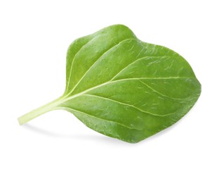 Photo of Aromatic green marjoram leaf isolated on white. Fresh herb