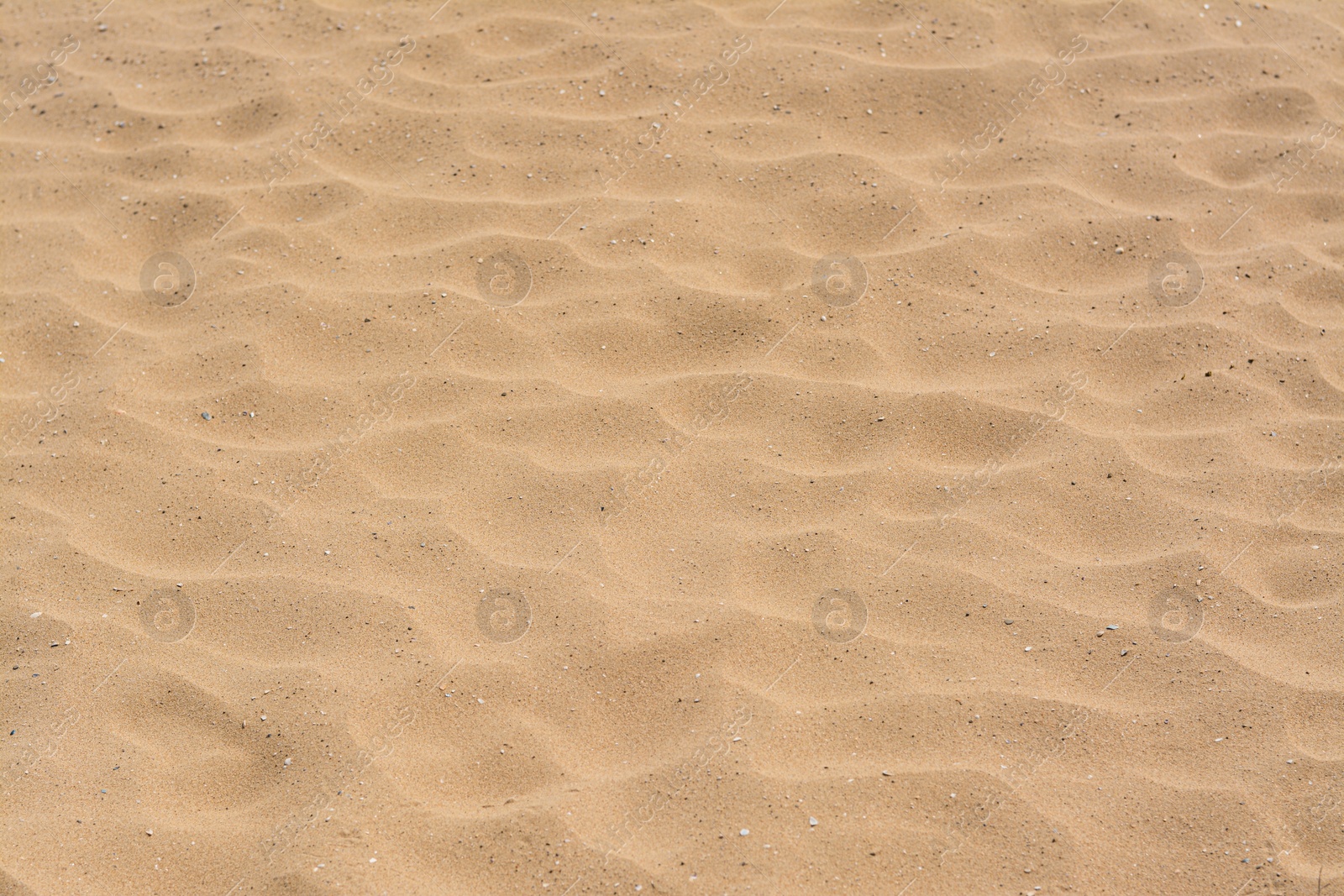 Photo of Texture of sandy beach as background, closeup