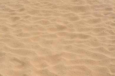 Photo of Texture of sandy beach as background, closeup