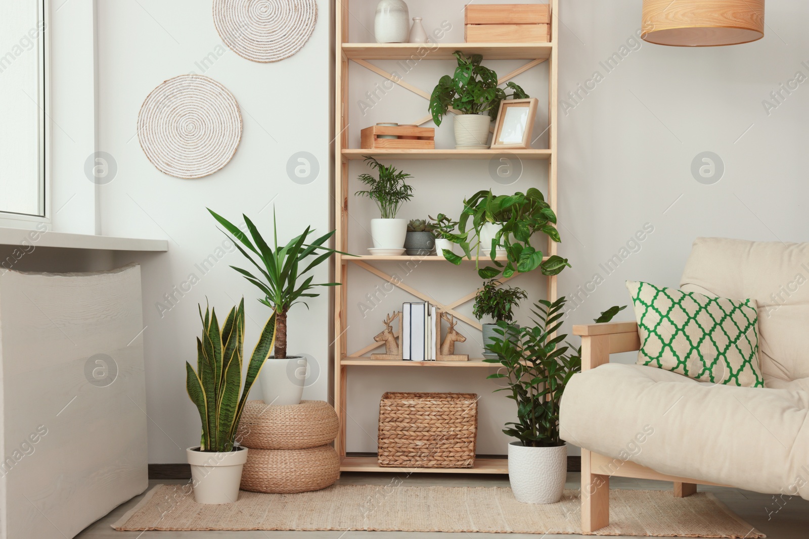 Photo of Stylish room interior with beautiful house plants. Home design idea