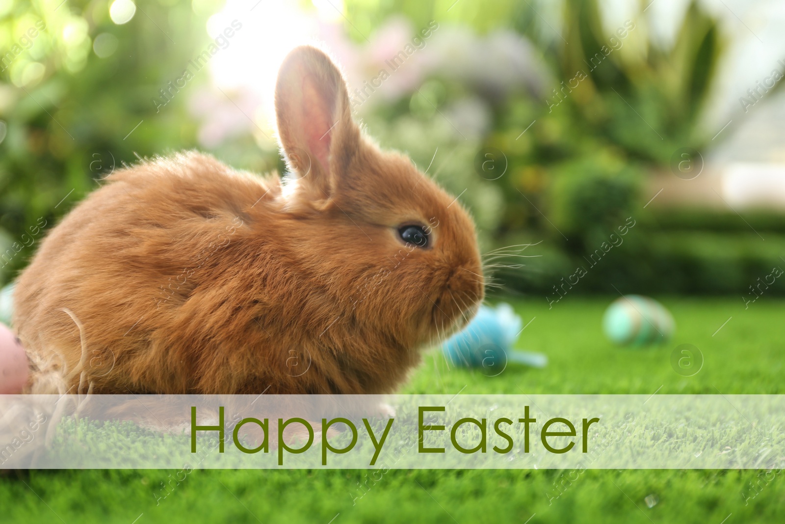 Image of Adorable fluffy bunny on green grass. Happy Easter