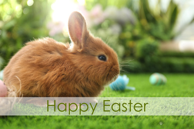 Adorable fluffy bunny on green grass. Happy Easter