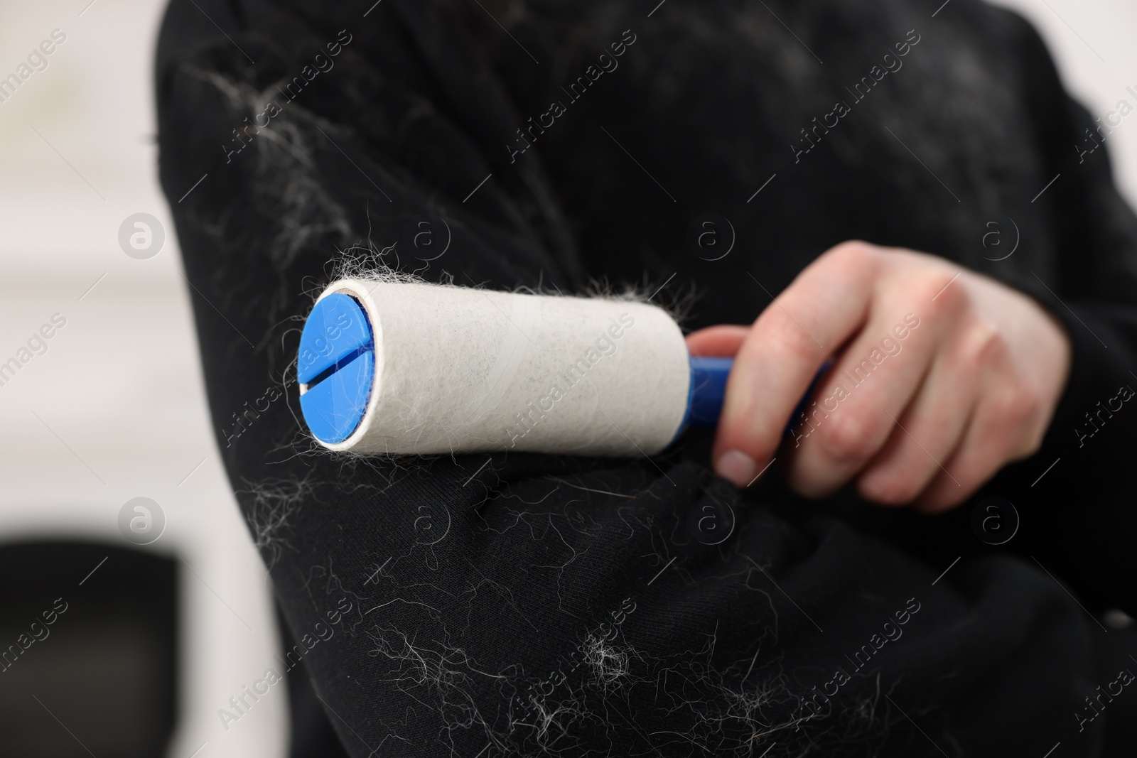 Photo of Pet shedding. Man with lint roller removing dog's hair from sweater indoors, closeup