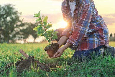 Photo of Woman planting tree in countryside, closeup view