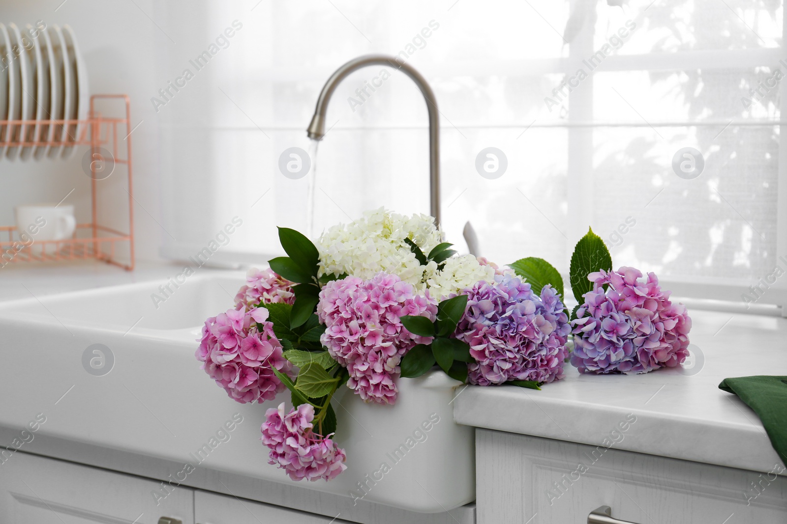 Photo of Beautiful bouquet of hydrangea flowers in sink with running water