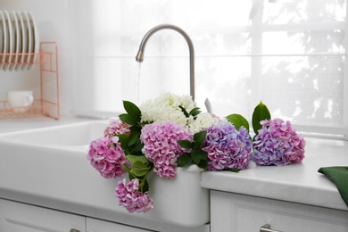 Beautiful bouquet of hydrangea flowers in sink with running water