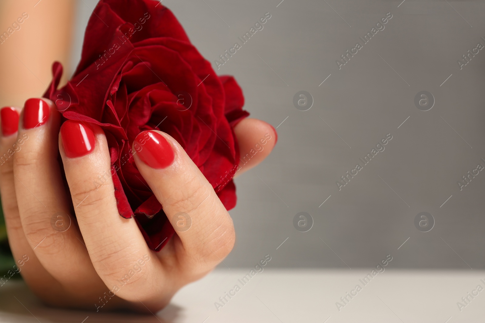 Photo of Woman with red manicure holding rose on blurred background, closeup. Nail polish trends