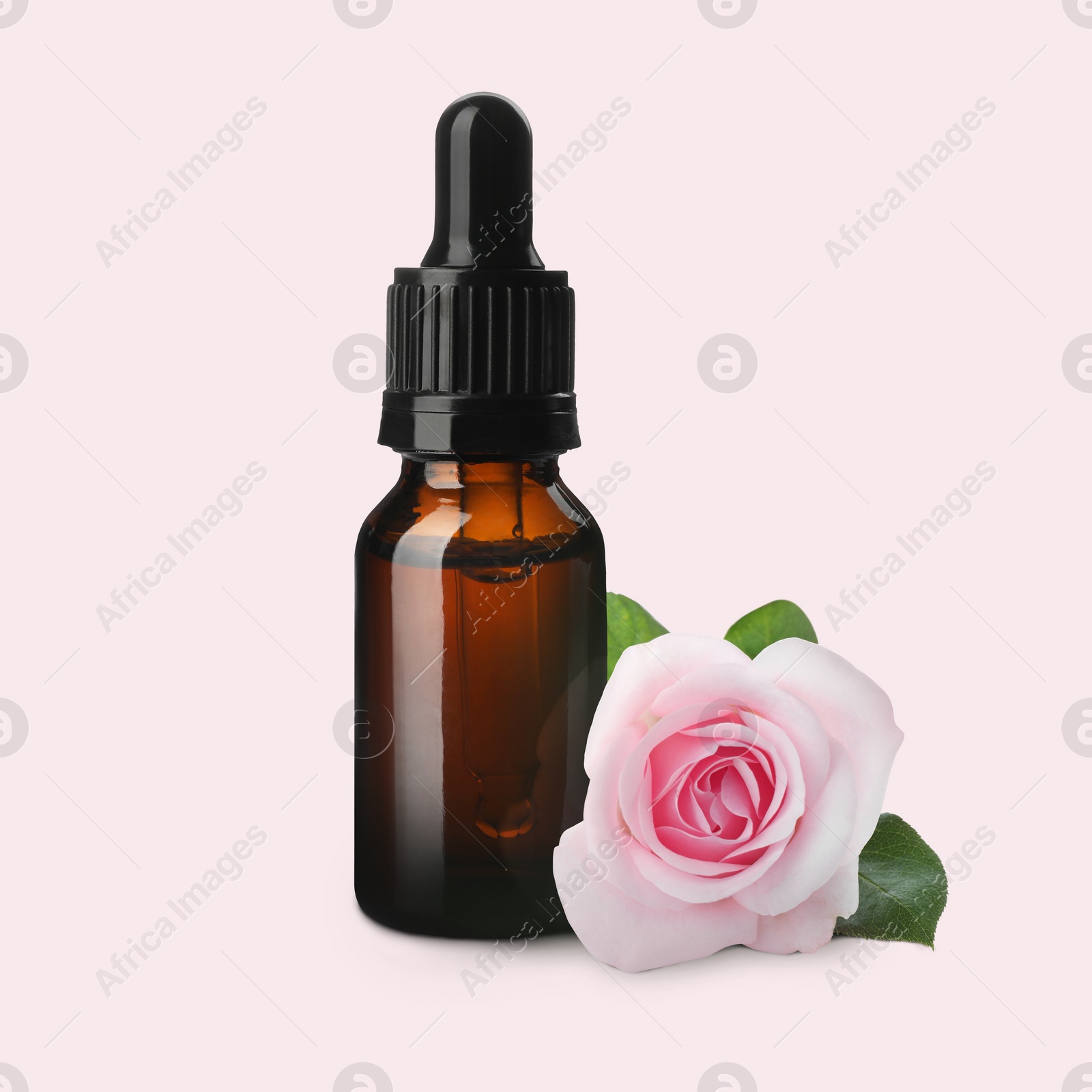 Image of Bottle of rose essential oil and flower on light background