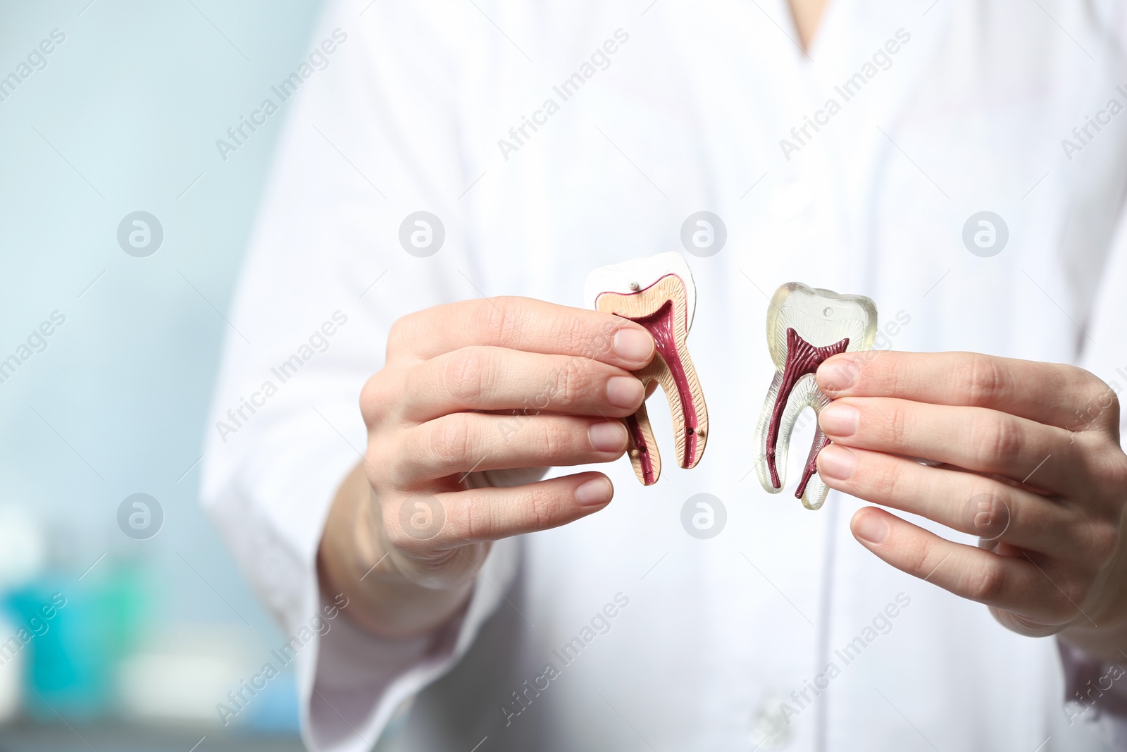 Photo of Dentist holding model of tooth on blurred background, closeup