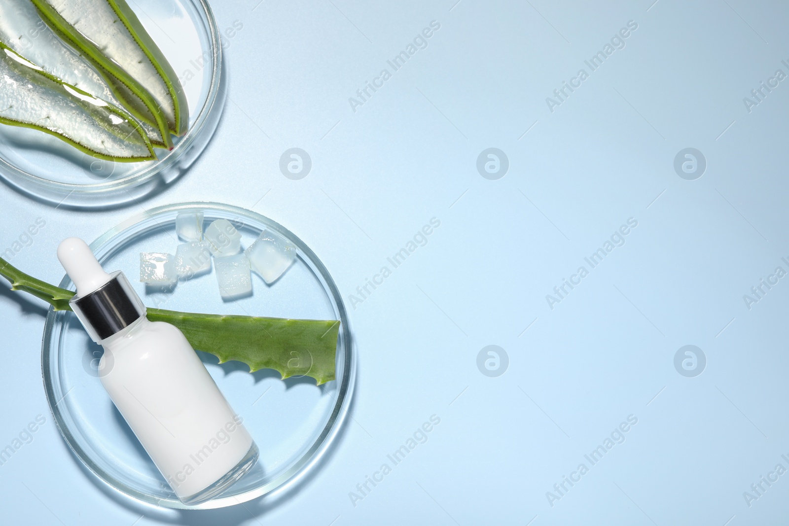 Photo of Petri dishes with cosmetic product and cut aloe vera on light blue background, flat lay. Space for text