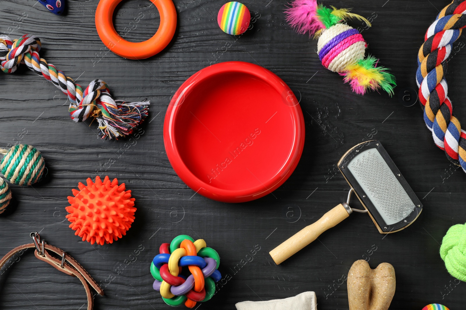 Photo of Flat lay composition with accessories for dog and cat on wooden background. Pet care