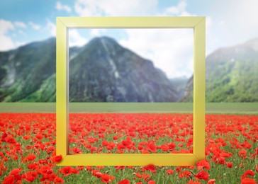 Wooden frame and beautiful poppy meadow near mountains