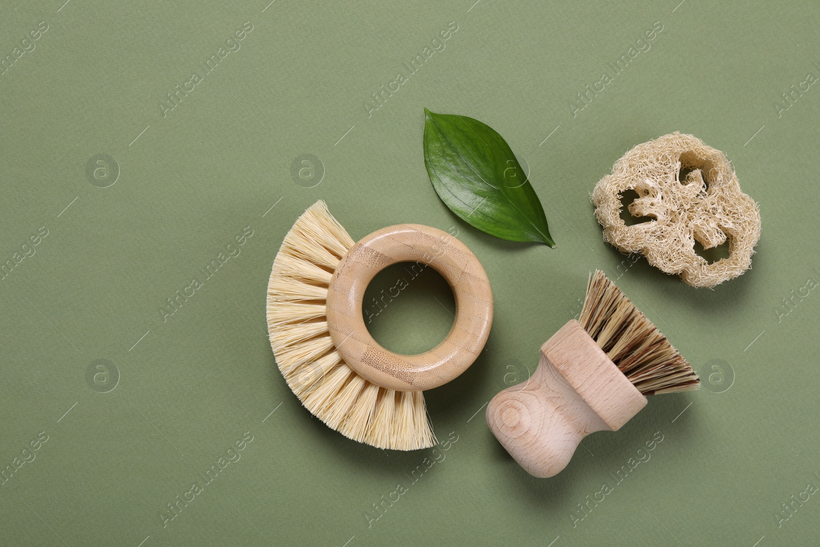 Photo of Cleaning brushes, loofah and leaf on green background, flat lay. Space for text