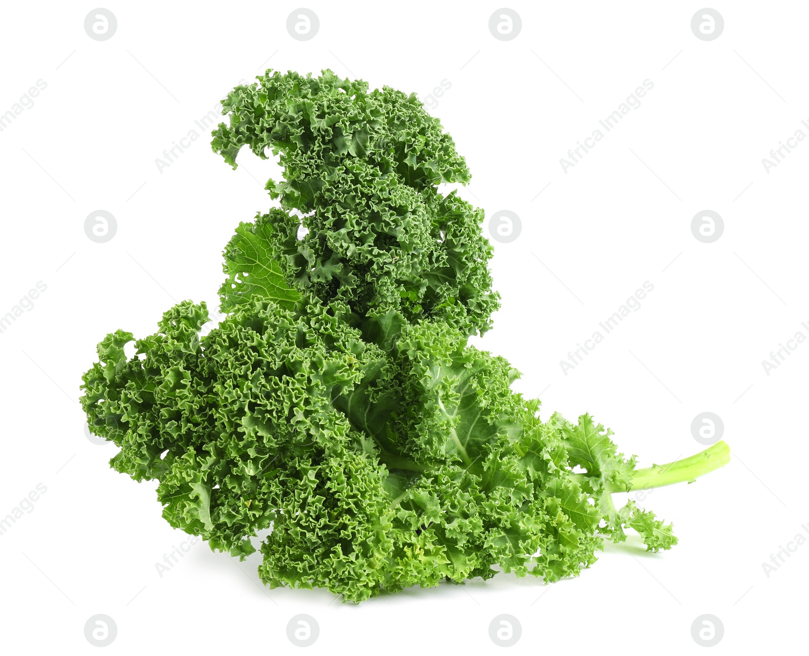 Photo of Fresh green kale leaves isolated on white