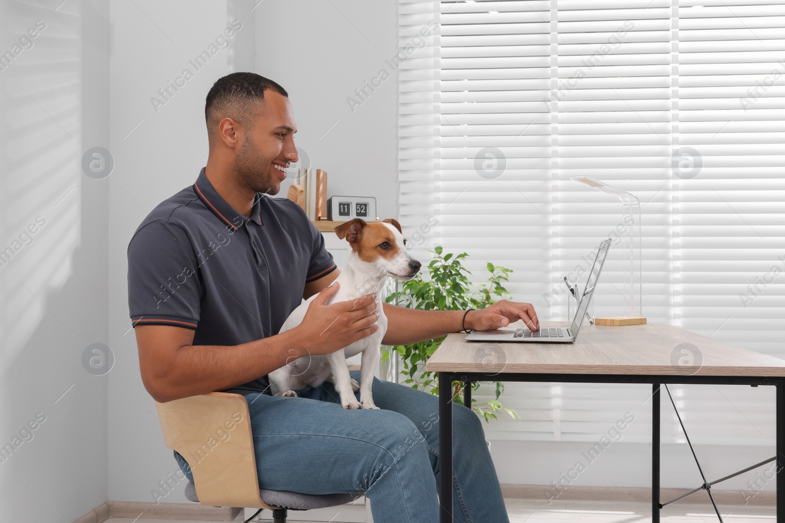 Photo of Young man with Jack Russell Terrier working at desk in home office