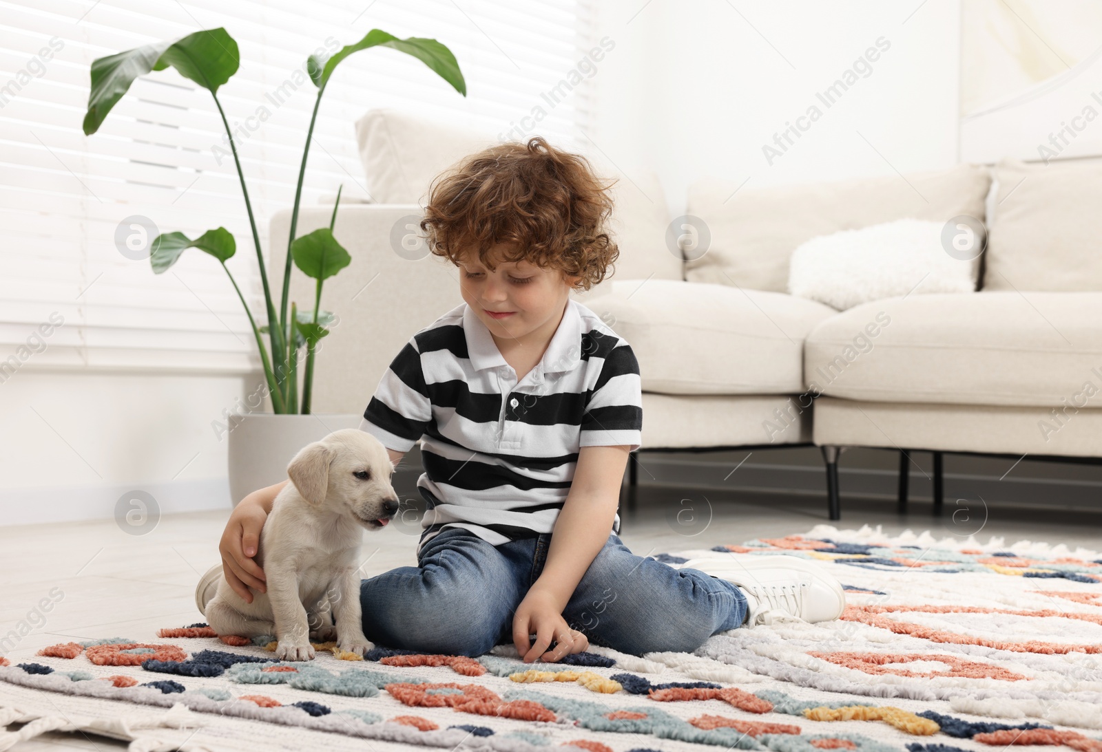 Photo of Little boy with cute puppy on carpet at home