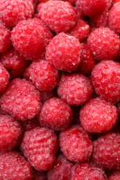Photo of Heap of tasty ripe raspberries as background, top view