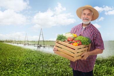 Image of Harvesting season. Farmer holding wooden crate with crop in field
