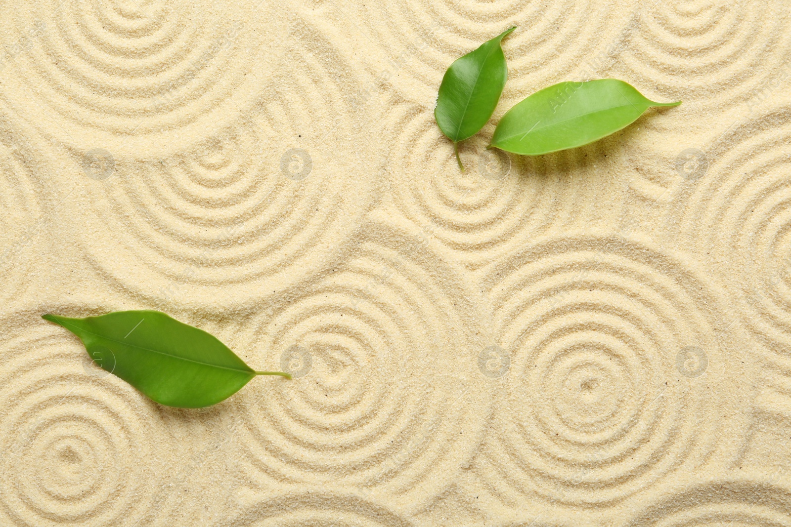 Photo of Zen rock garden. Circle patterns and green leaves on beige sand, top view