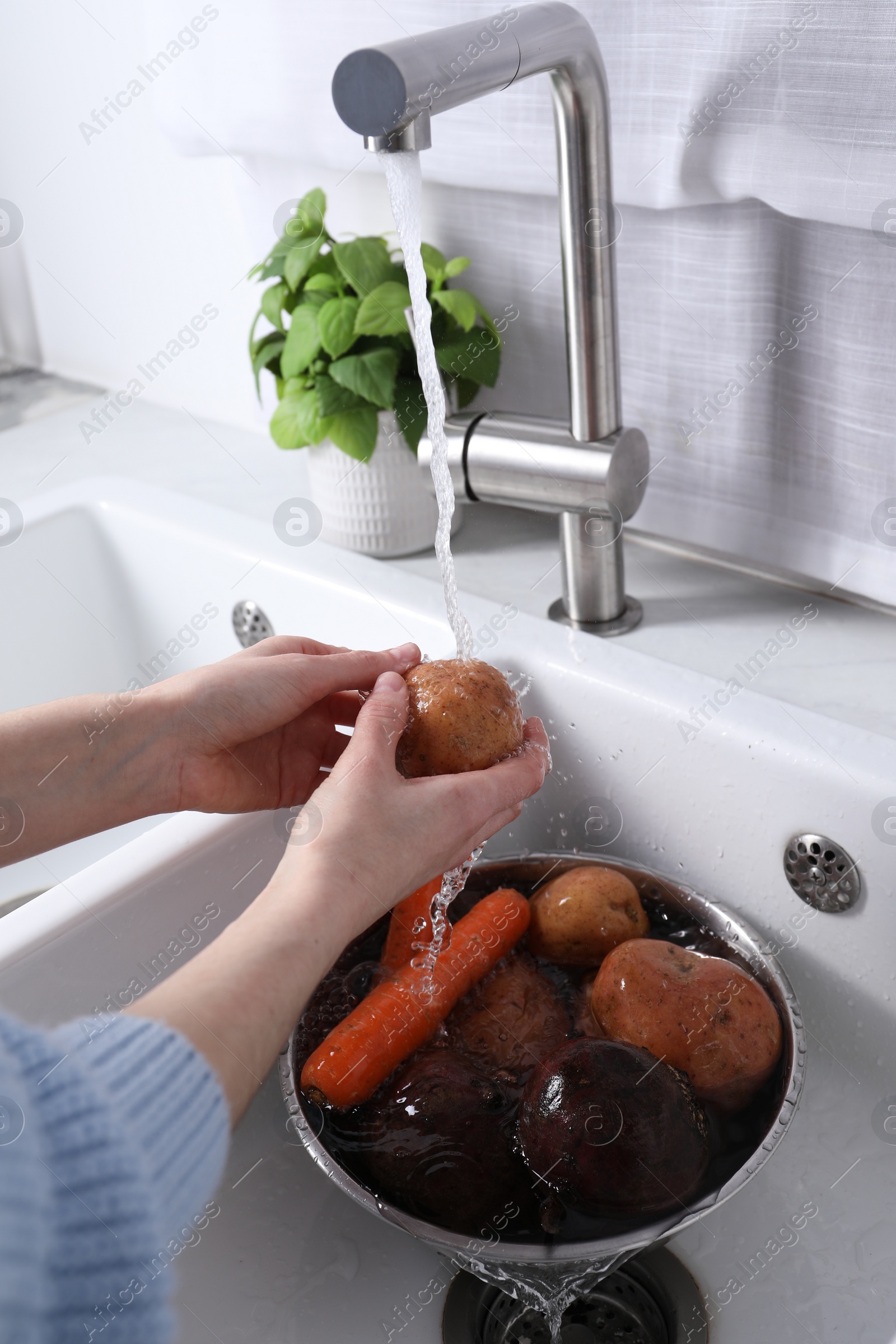 Photo of Woman washing fresh potato in kitchen sink, closeup. Cooking vinaigrette salad