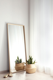 Large mirror and potted plant near window in light room