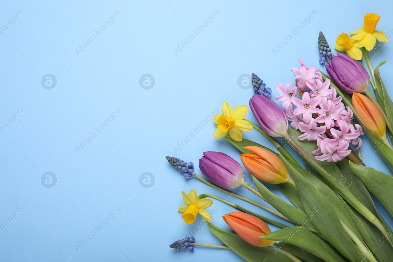 Photo of Beautiful flowers on light blue background, flat lay. Space for text