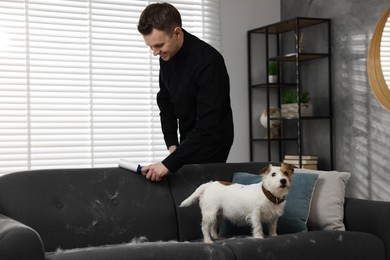 Pet shedding. Smiling man with lint roller removing dog's hair from sofa at home