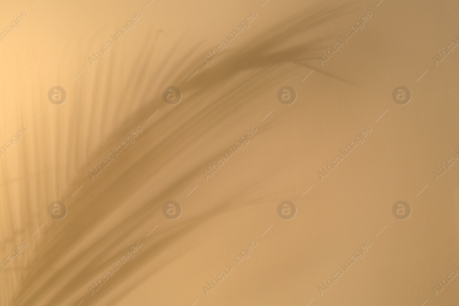 Photo of Shadow of tropical palm leaves on beige background, space for text