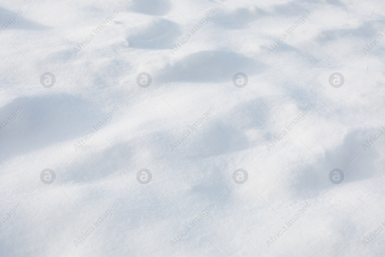 Photo of White snow as background, closeup. Winter season